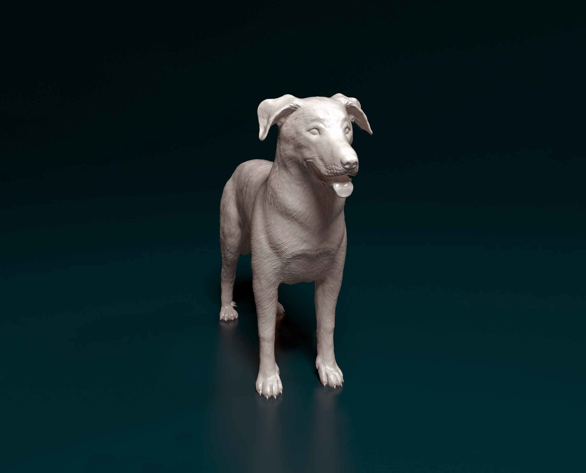 Bauceron dog 3D print model_1