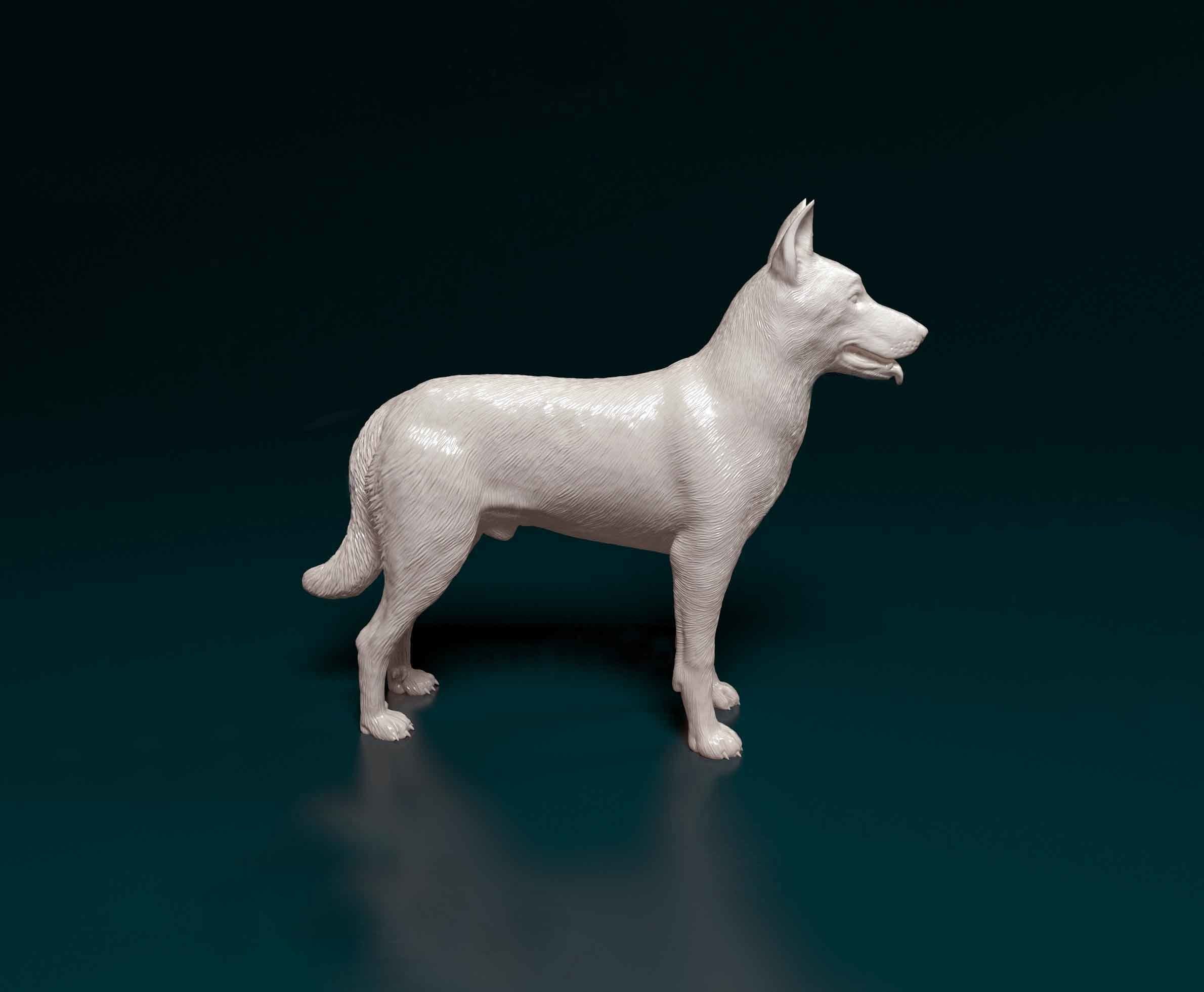 Bauceron dog 3D print model_3