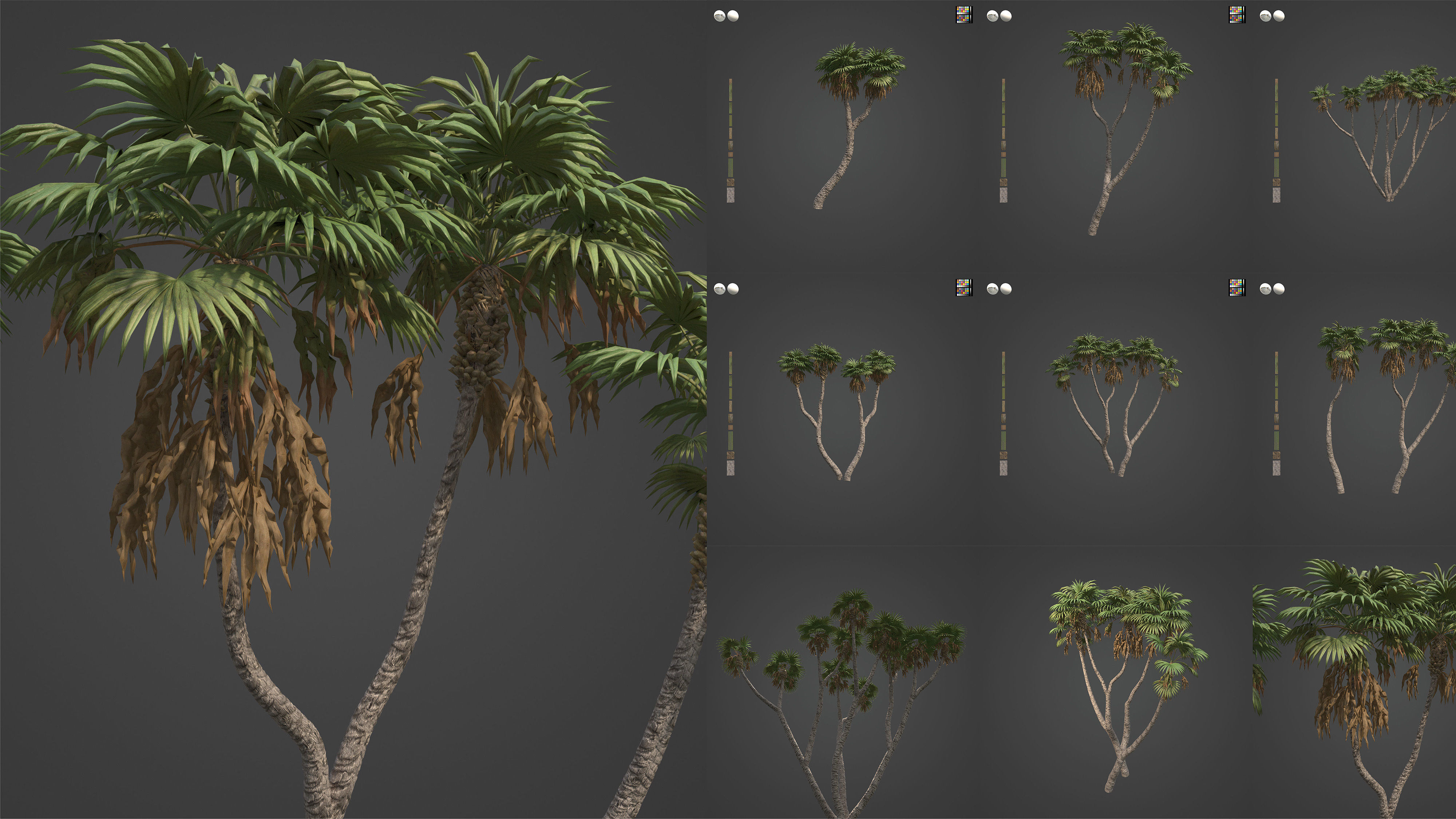 Xfrog Africa 3D Model Collection_8