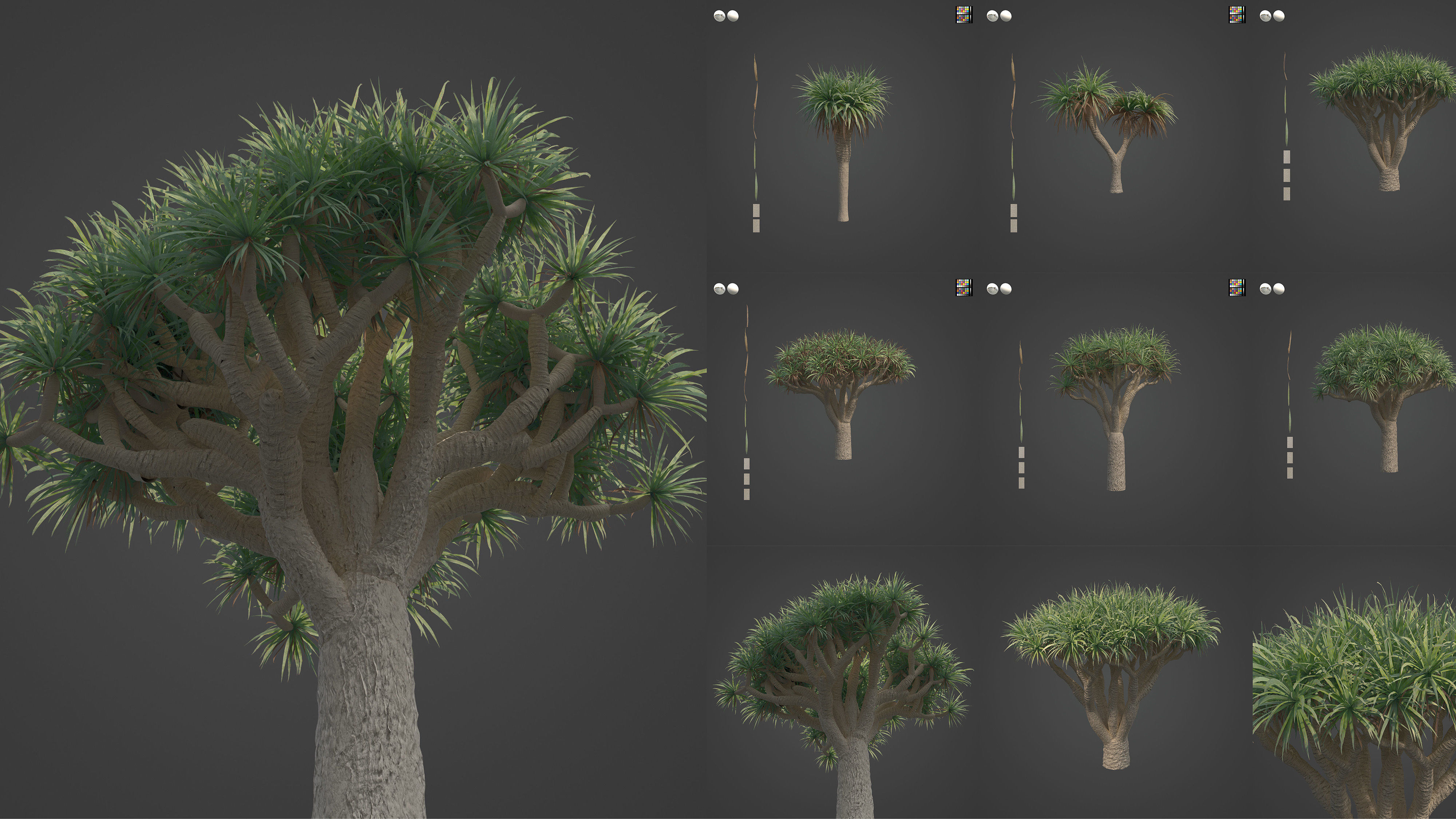 Xfrog Africa 3D Model Collection_2