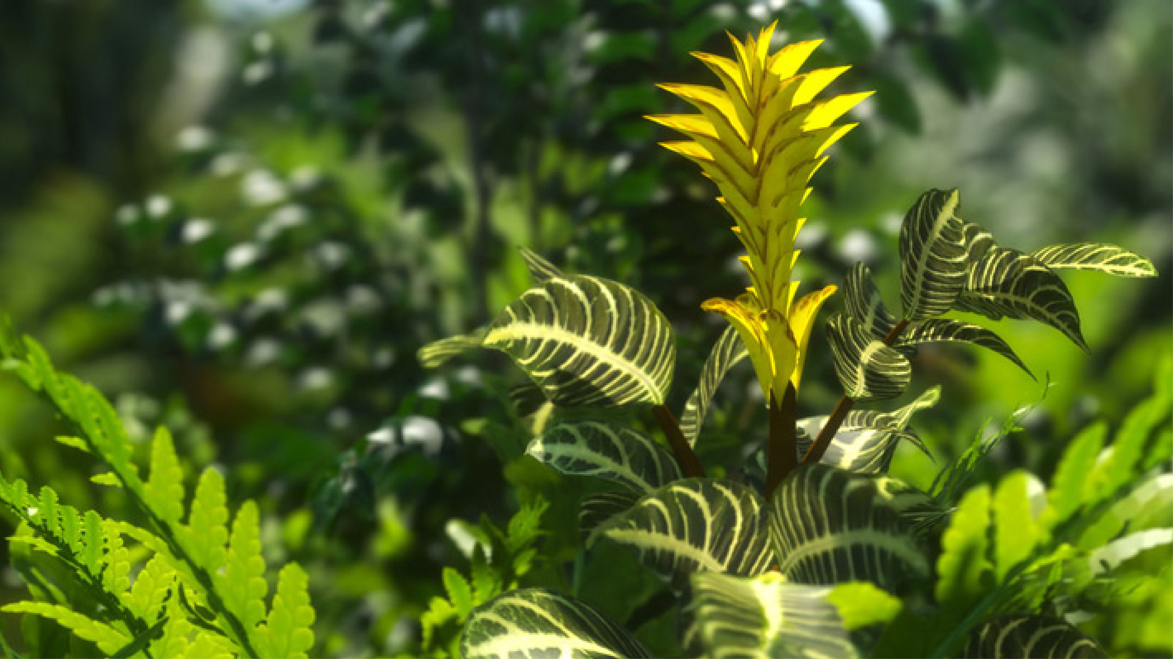 Xfrog Africa 3D Model Collection_15