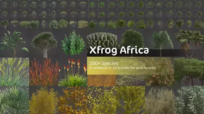 Xfrog Africa 3D Model Collection