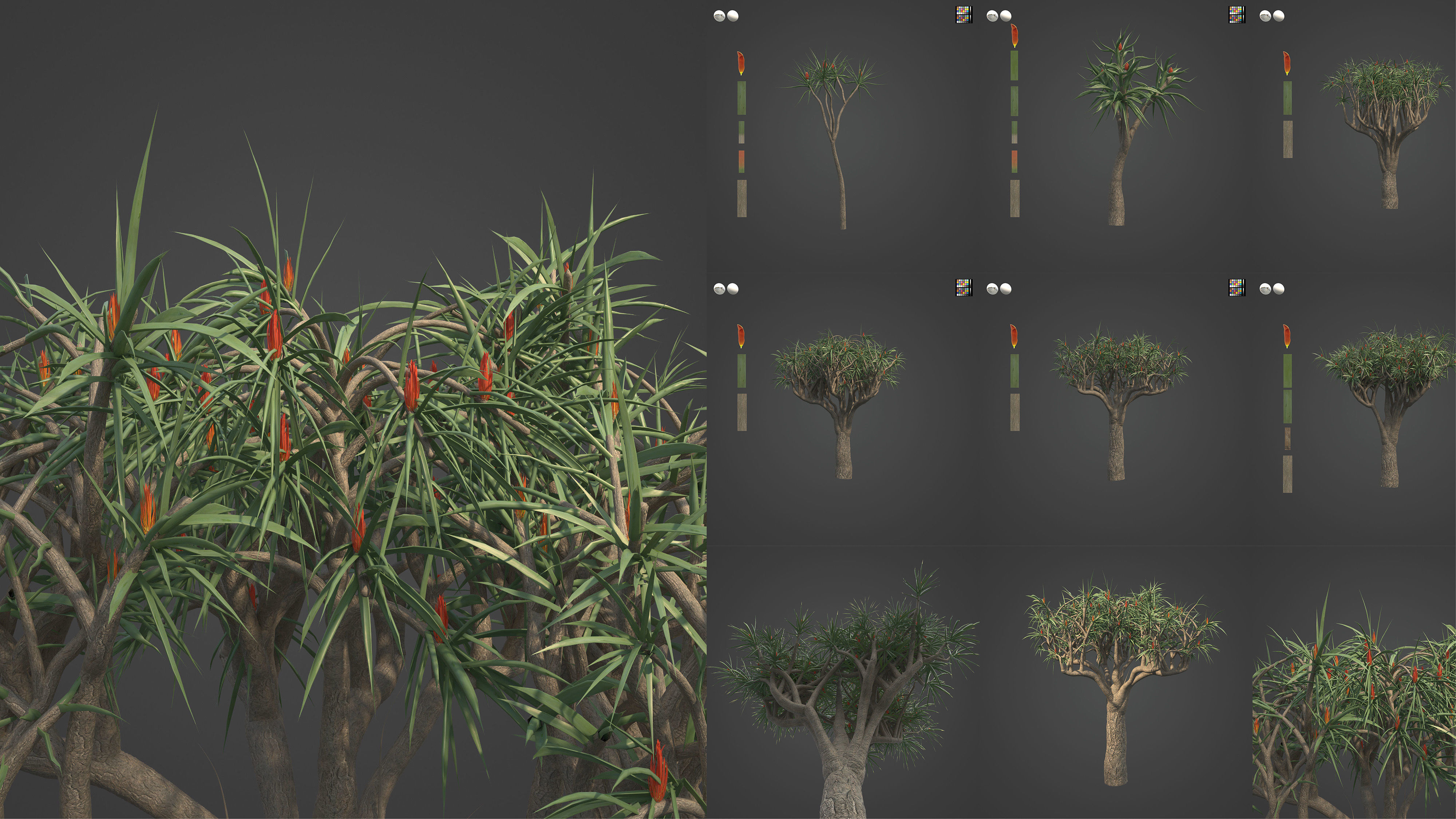 Xfrog Africa 3D Model Collection_4
