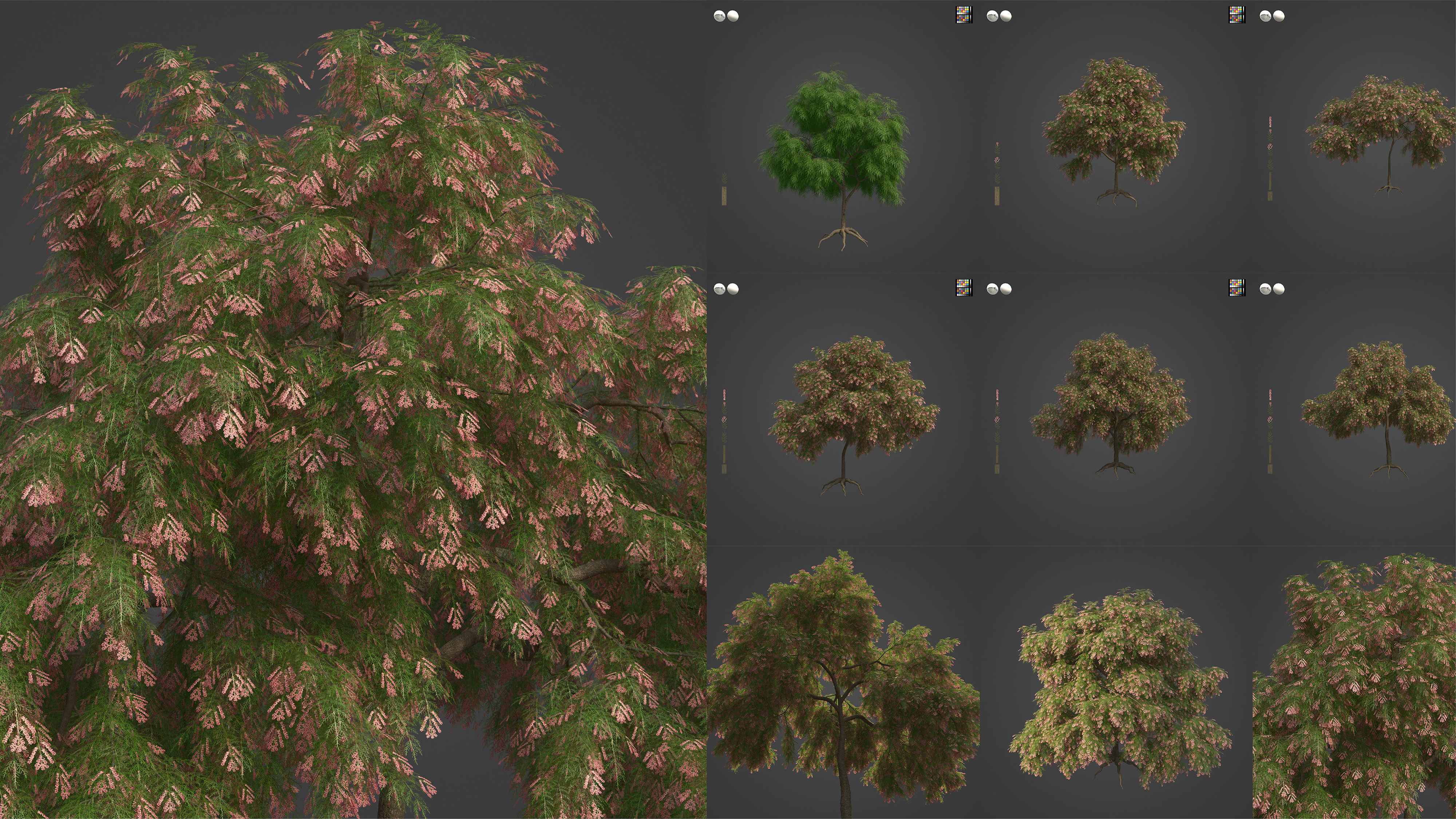 Xfrog Africa 3D Model Collection_10