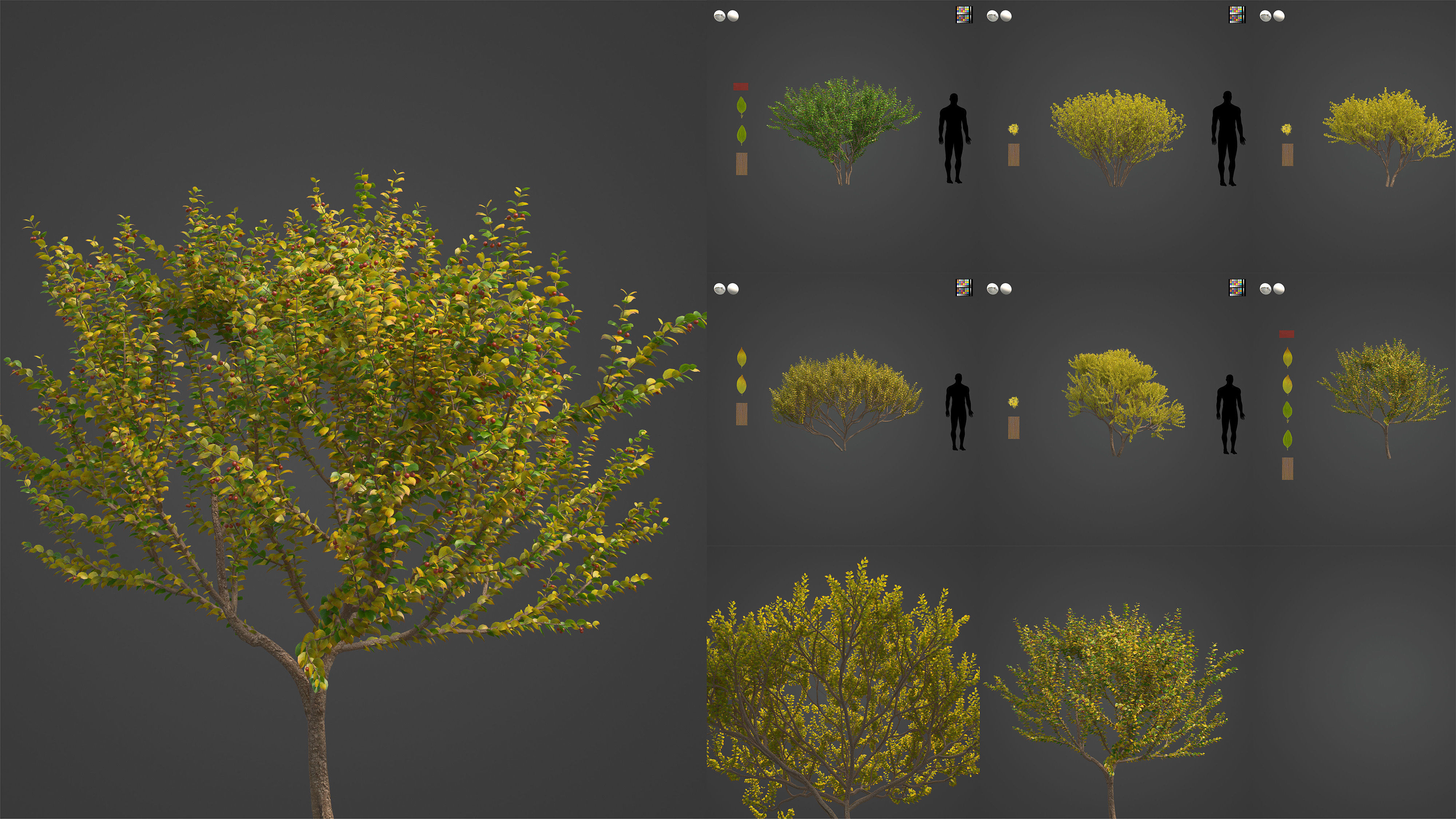 Xfrog Africa 3D Model Collection_11
