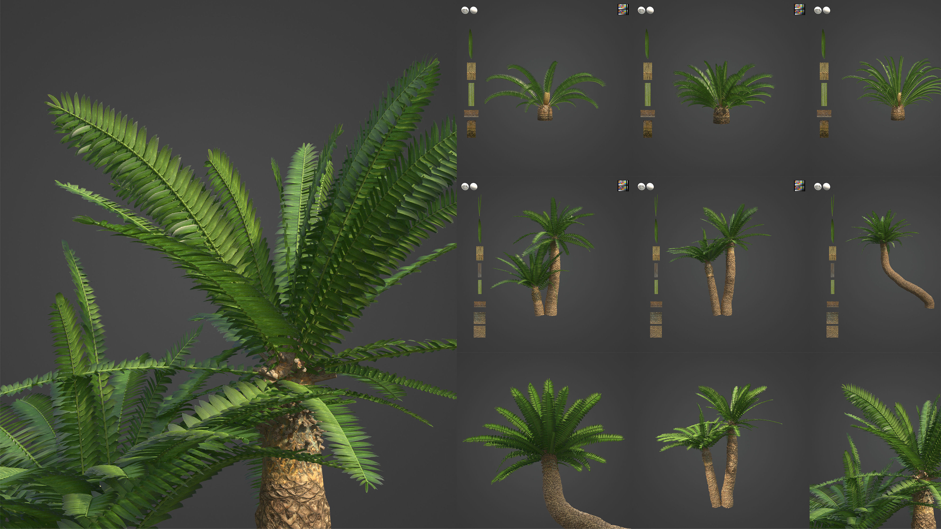 Xfrog Africa 3D Model Collection_6
