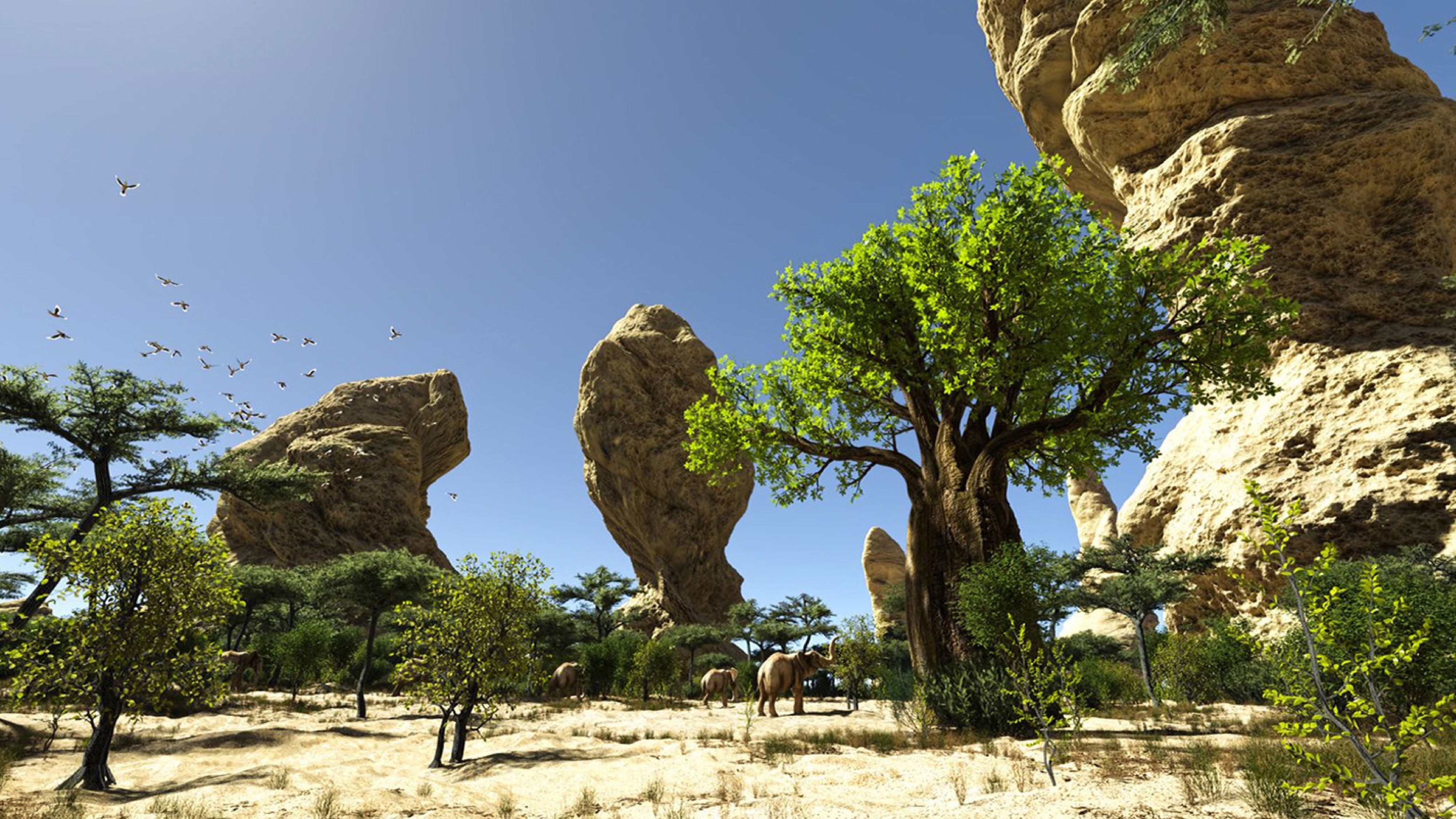 Xfrog Africa 3D Model Collection_12