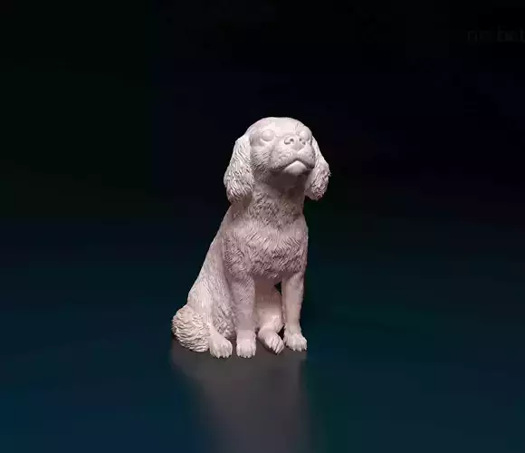 Cavalier King Charles spaniel 3D print model
