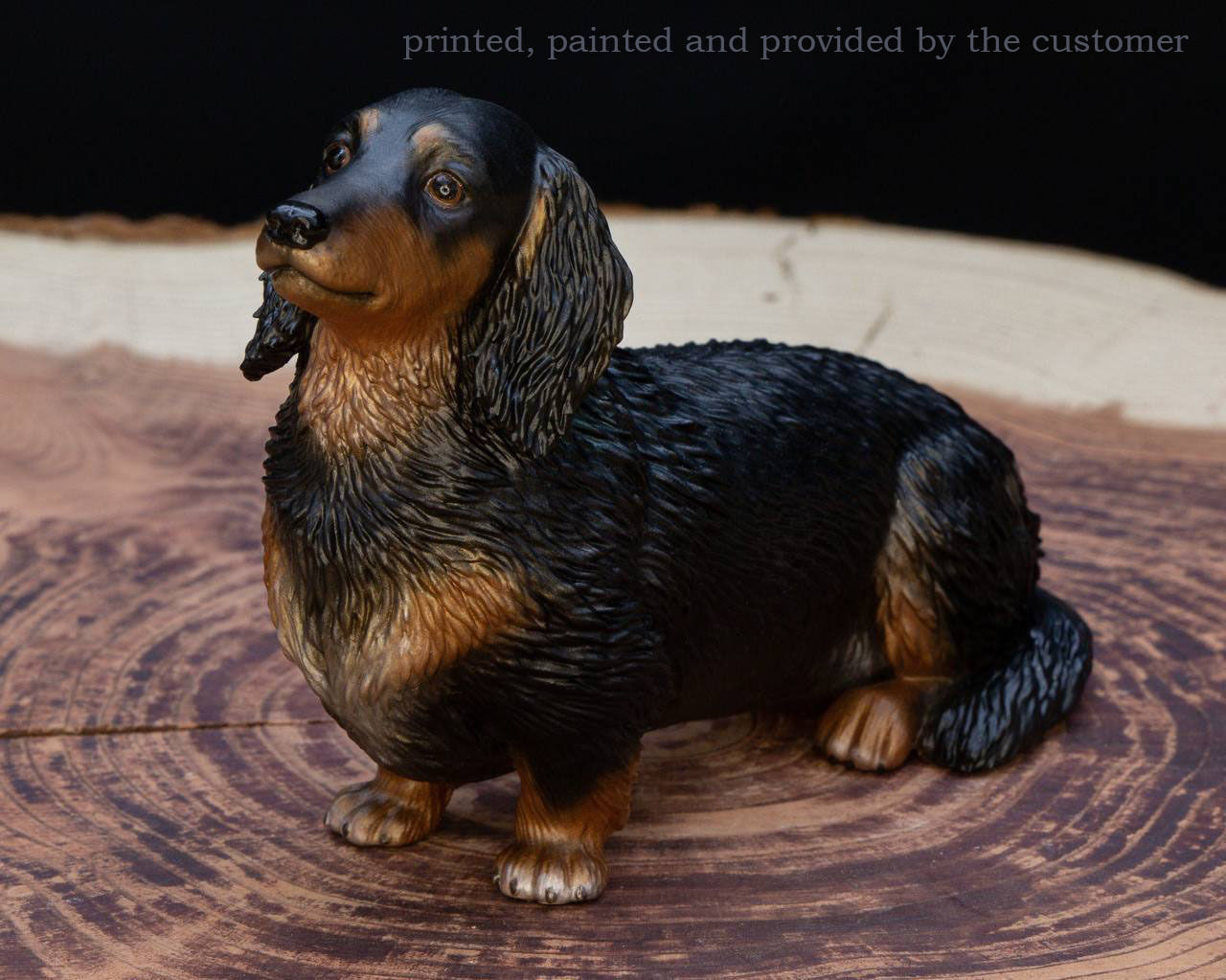Dachshund dog 3D print model_6