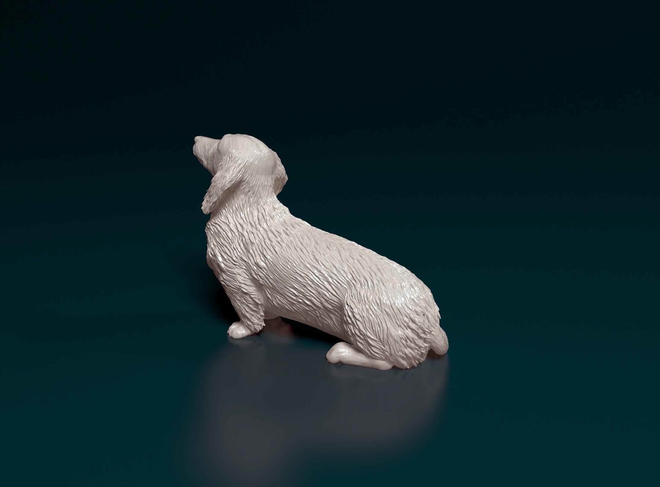 Dachshund dog 3D print model_3