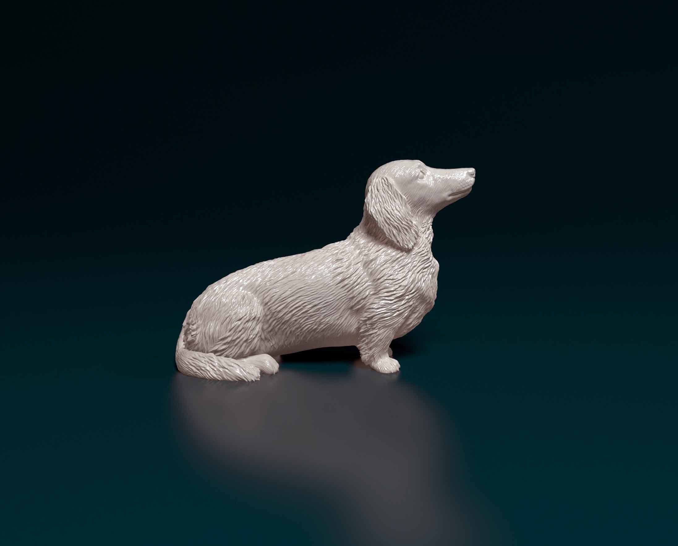 Dachshund dog 3D print model_1