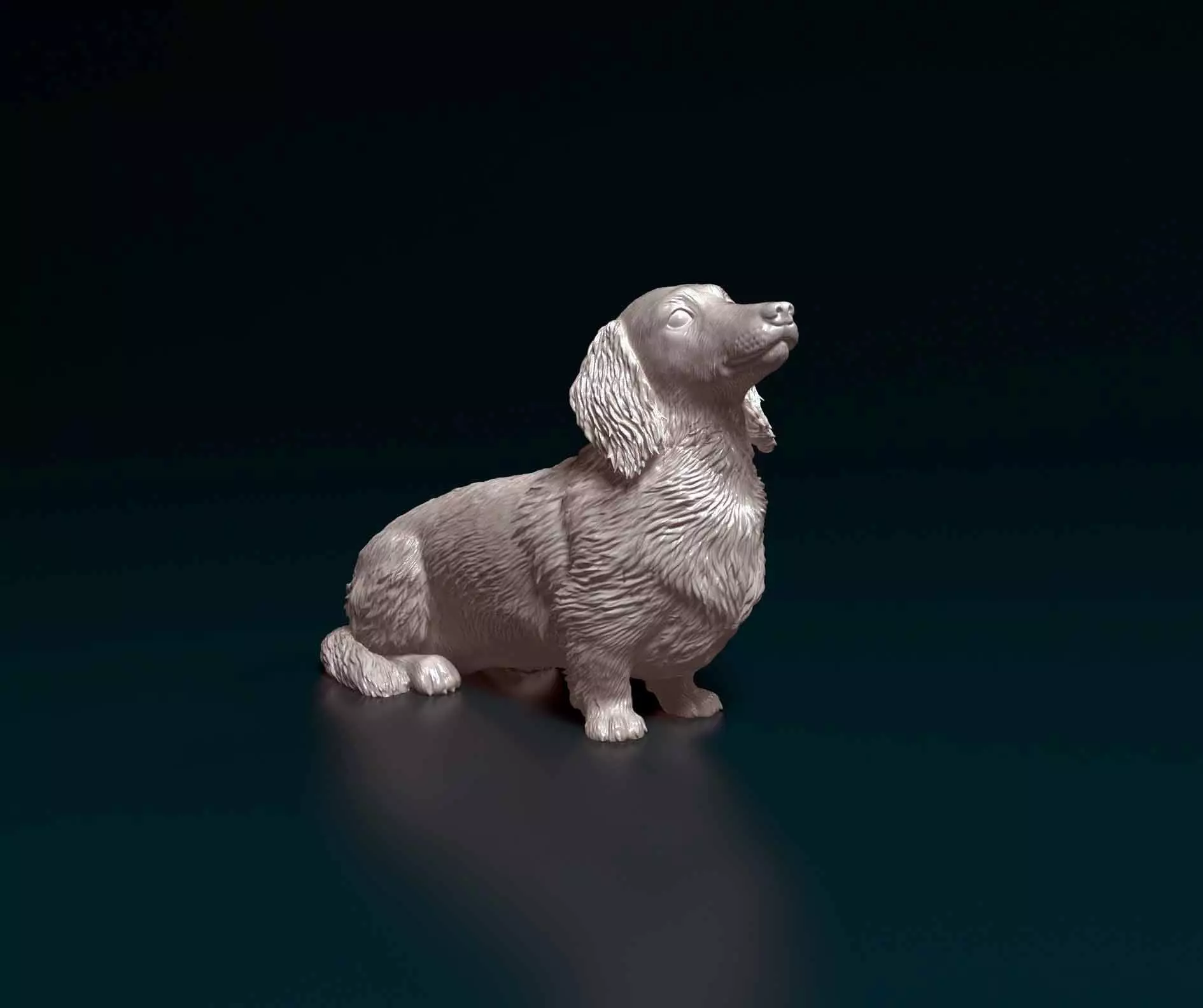 Dachshund dog 3D print model_0