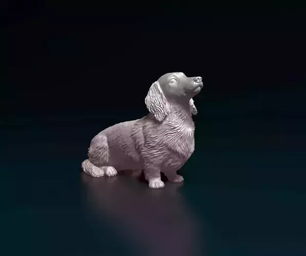 Dachshund dog 3D print model