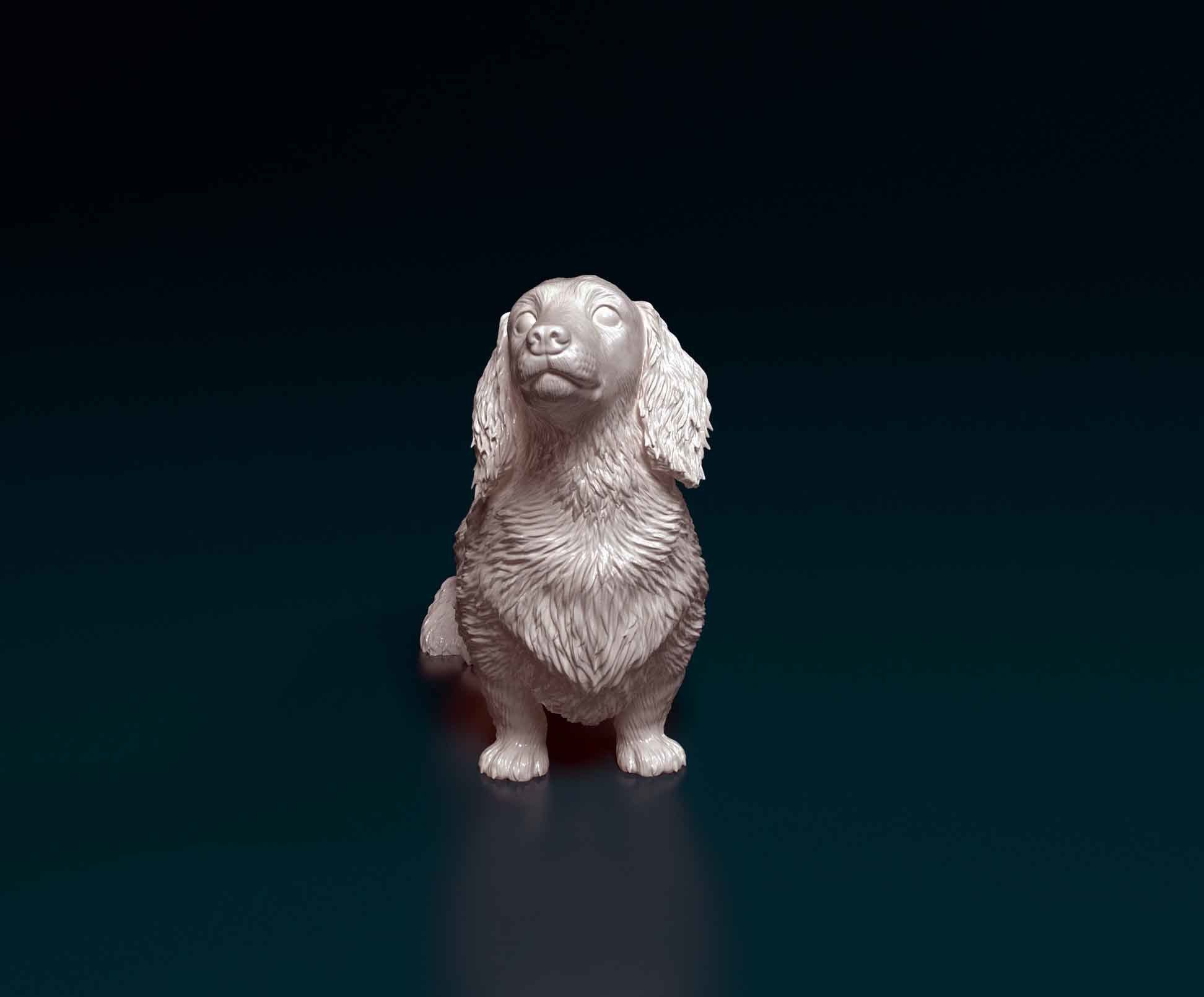 Dachshund dog 3D print model_4