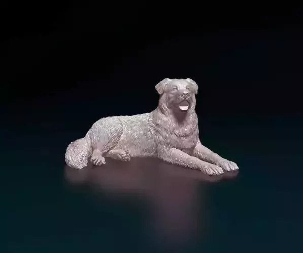Saint Bernard x German Shepherd 3D print model