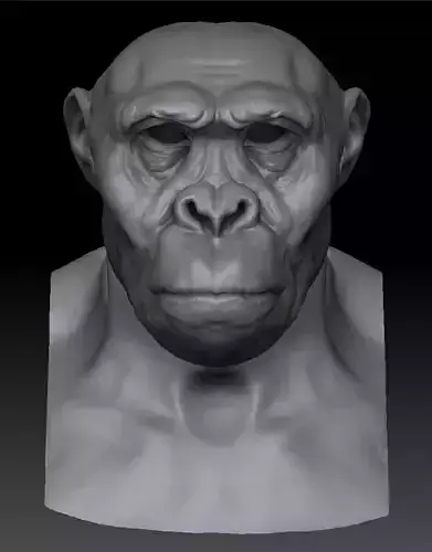 Ape Head 3D printing