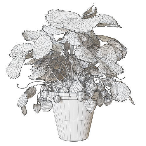 Strawberry in pot 3D model 7