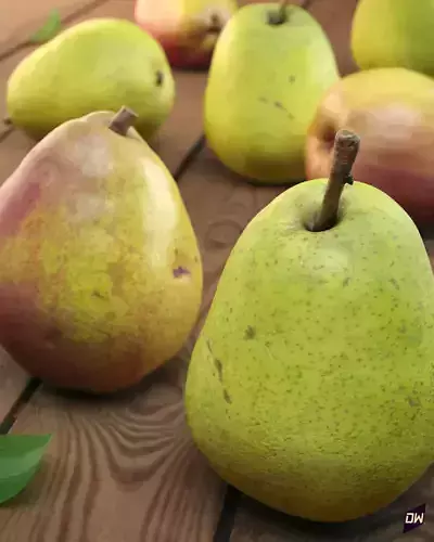 Pear Williams Christ and Sweet Sensation