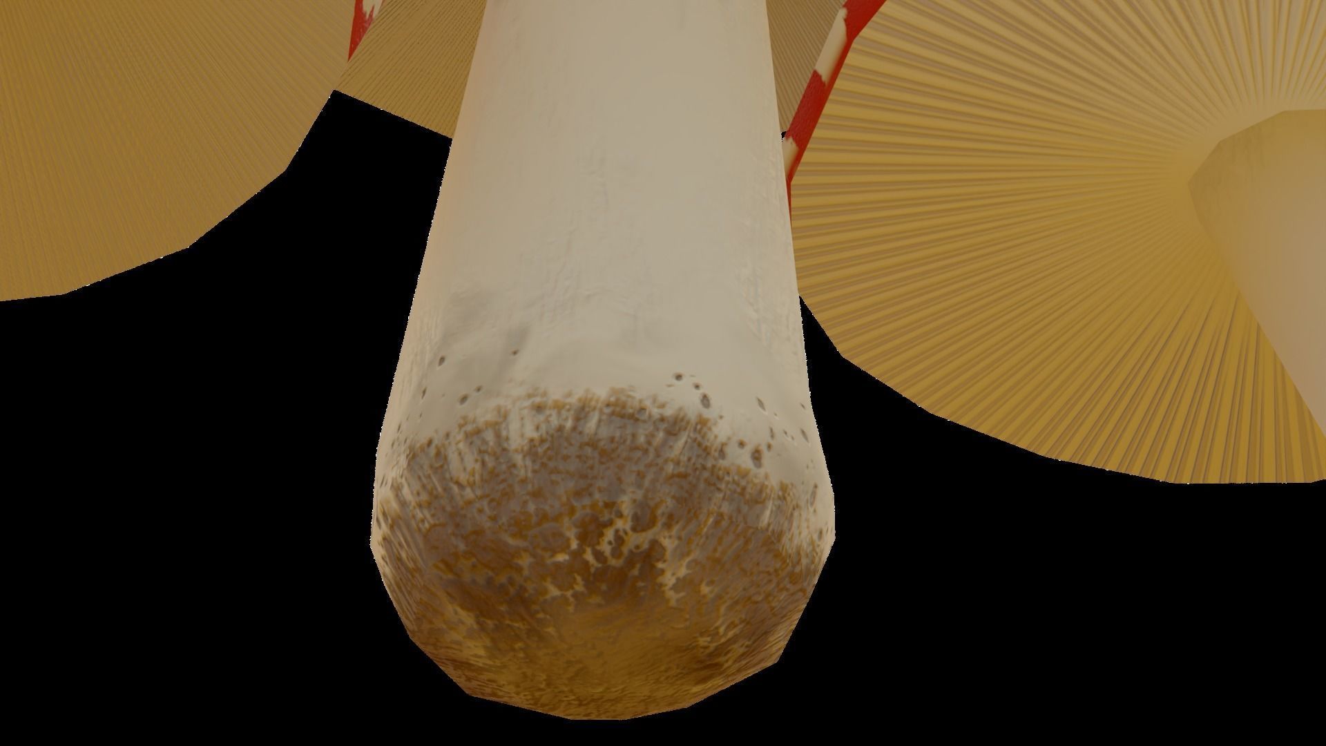 Cartoon Mushrooms - game ready Free low-poly 3D model_5