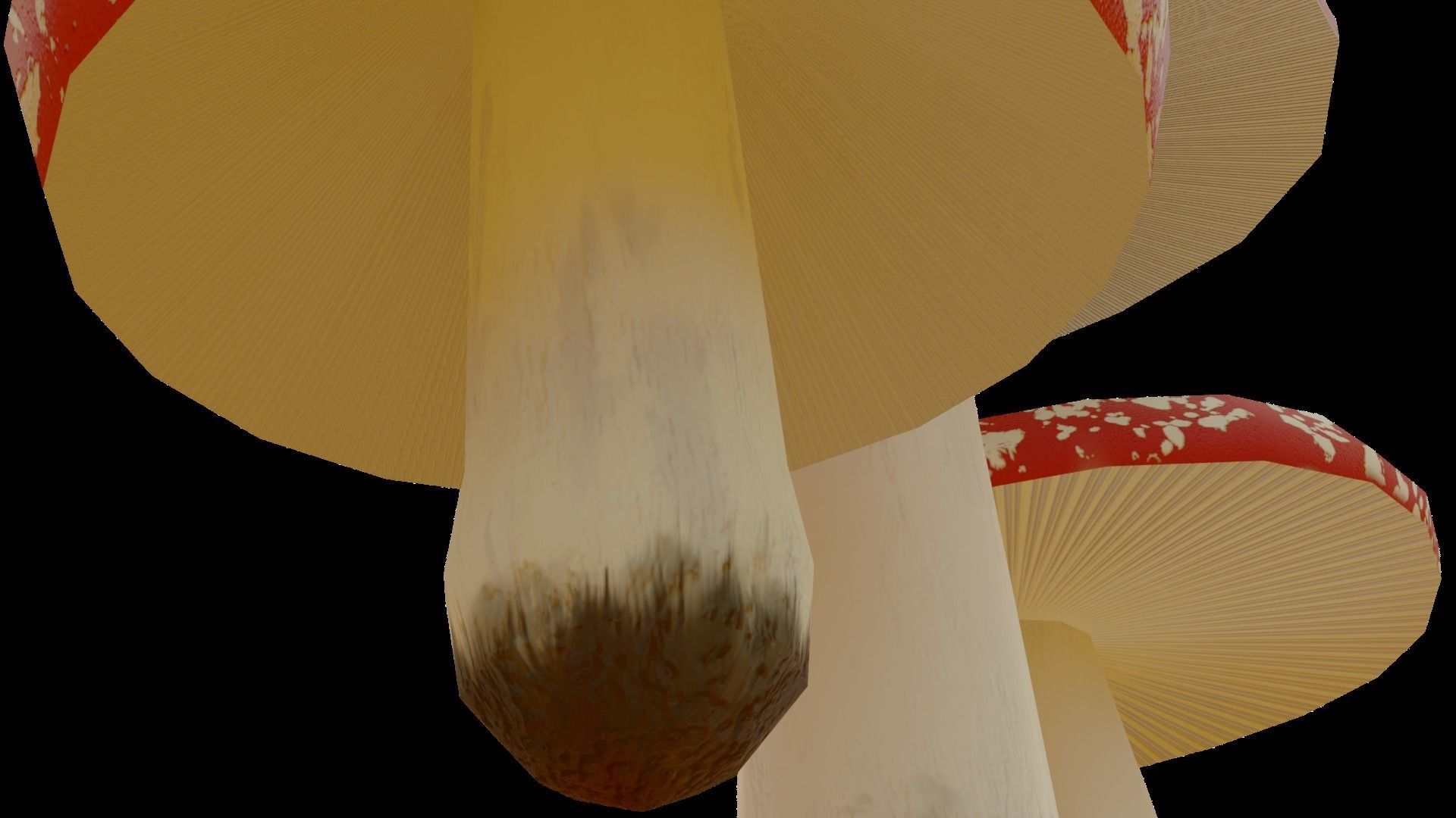 Cartoon Mushrooms - game ready Free low-poly 3D model_8