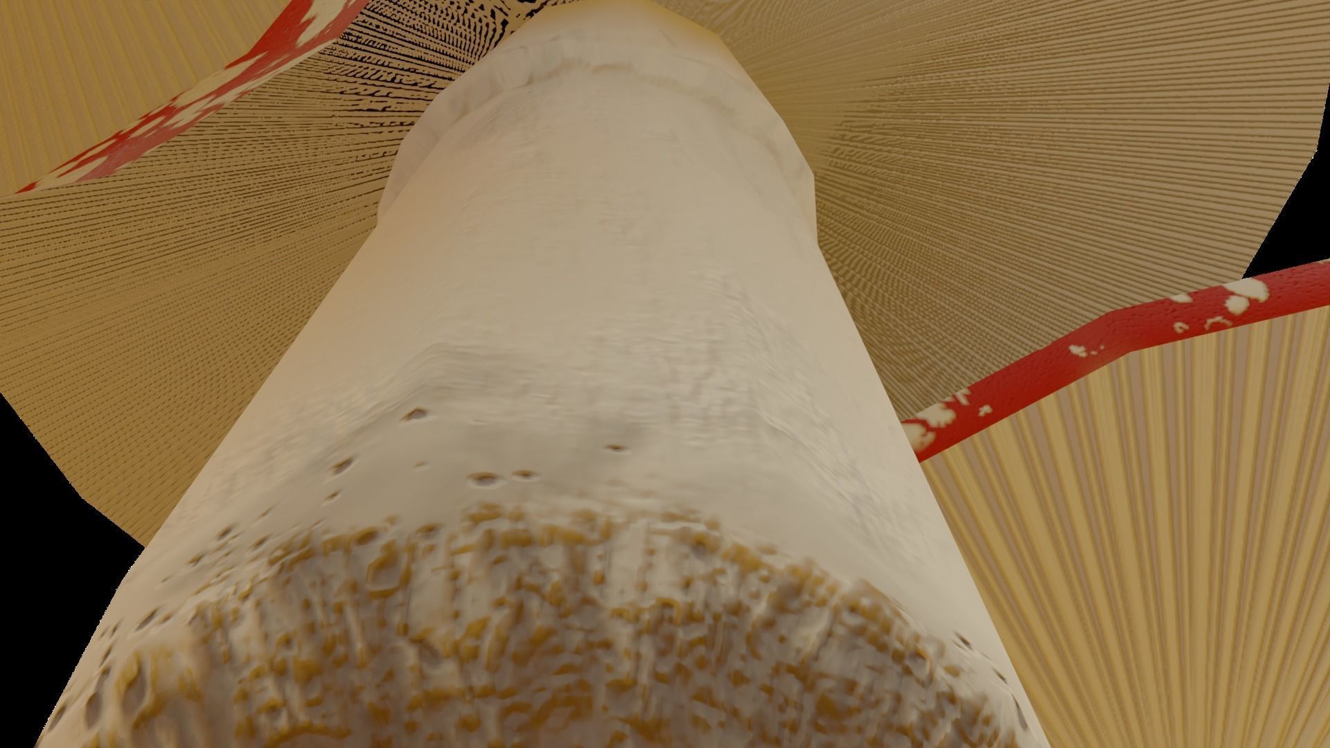 Cartoon Mushrooms - game ready Free low-poly 3D model_9