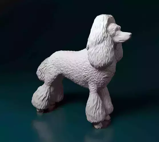 Poodle dog 3D print model