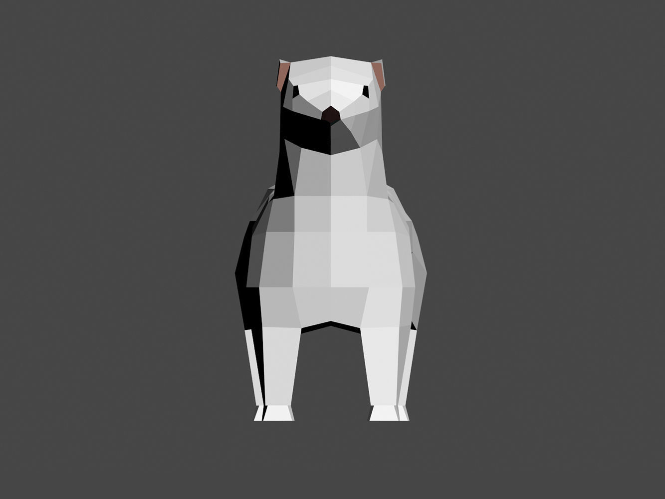 Lowpoly ermine Low-poly 3D model_1