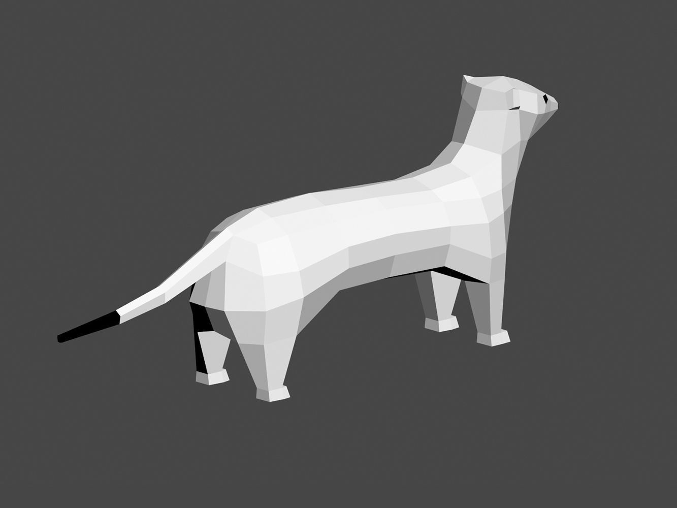Lowpoly ermine Low-poly 3D model_3
