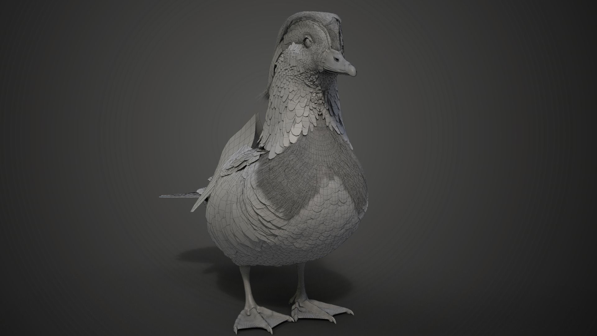 Mandarin Duck Male Animated VFX Grace 3D model_20