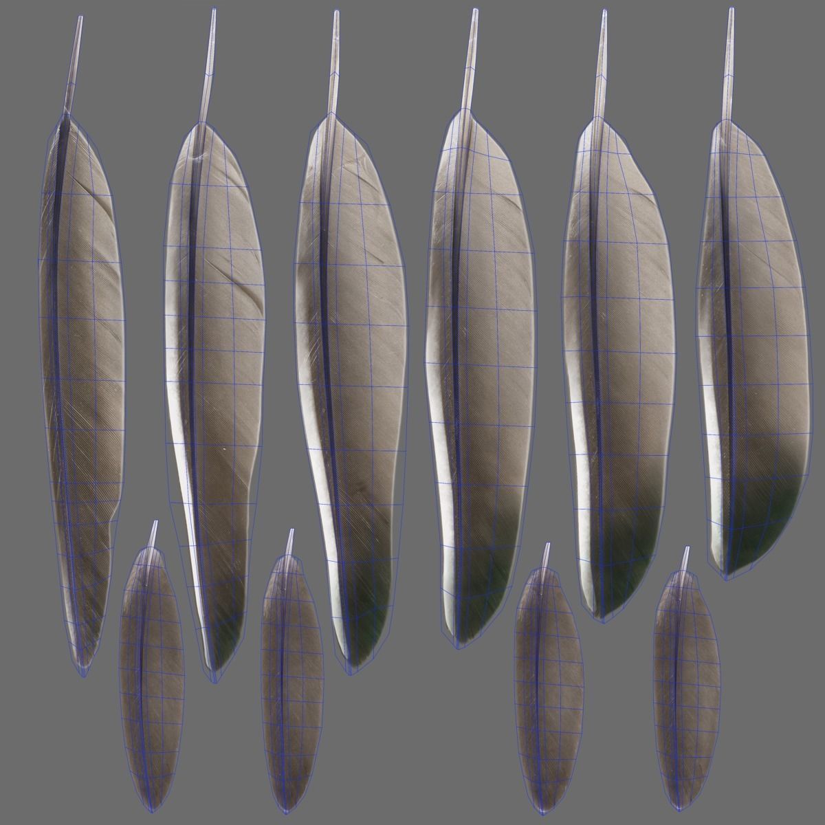 Mandarin Duck Male Animated VFX Grace 3D model_31