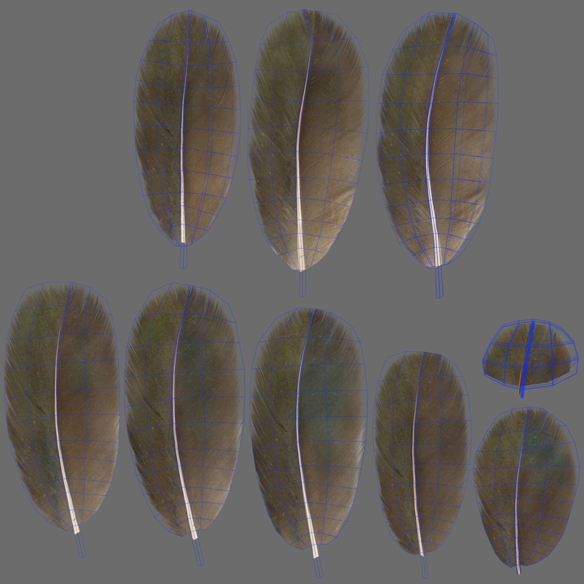 Mandarin Duck Male Animated VFX Grace 3D model_33