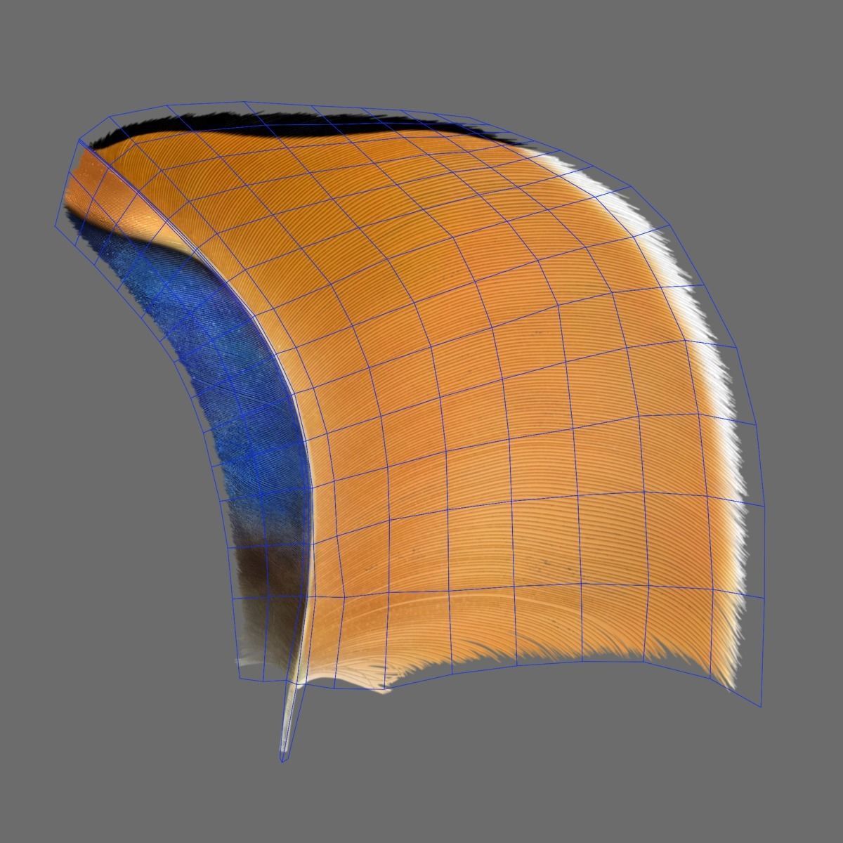 Mandarin Duck Male Animated VFX Grace 3D model_28