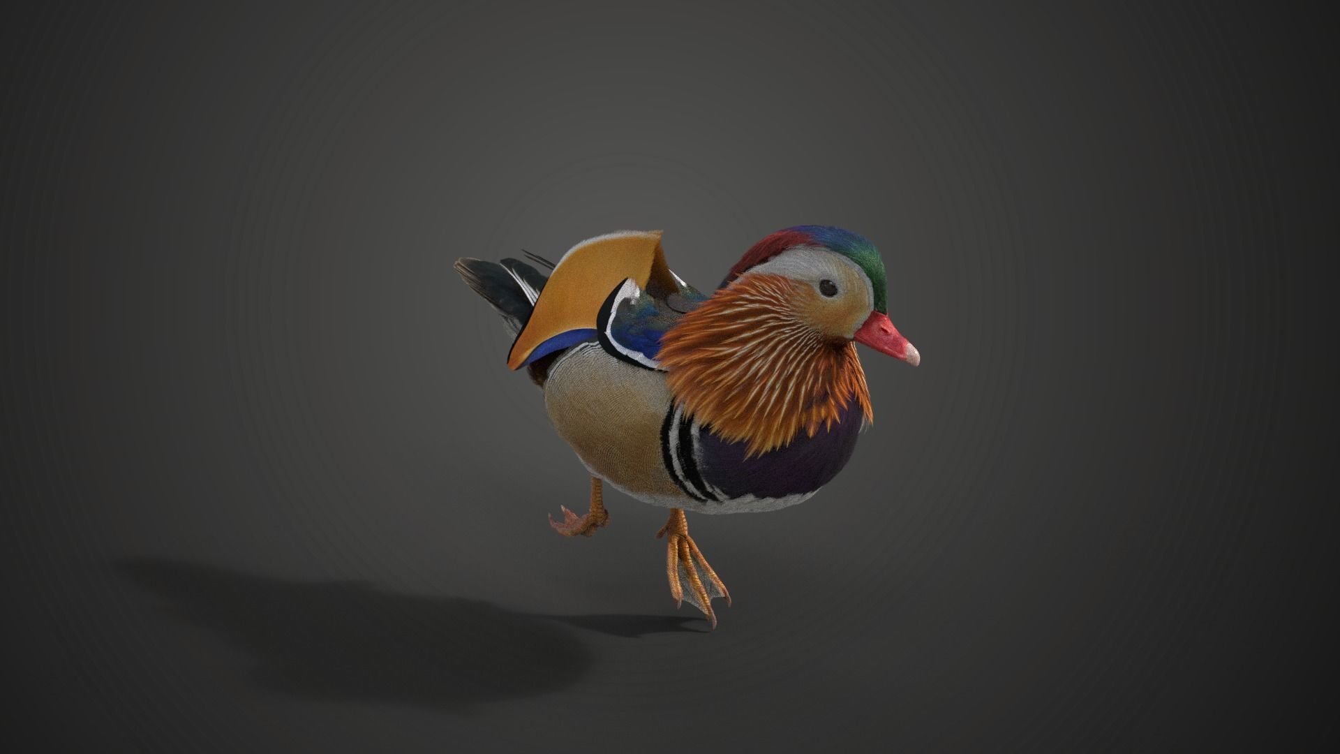 Mandarin Duck Male Animated VFX Grace 3D model_7