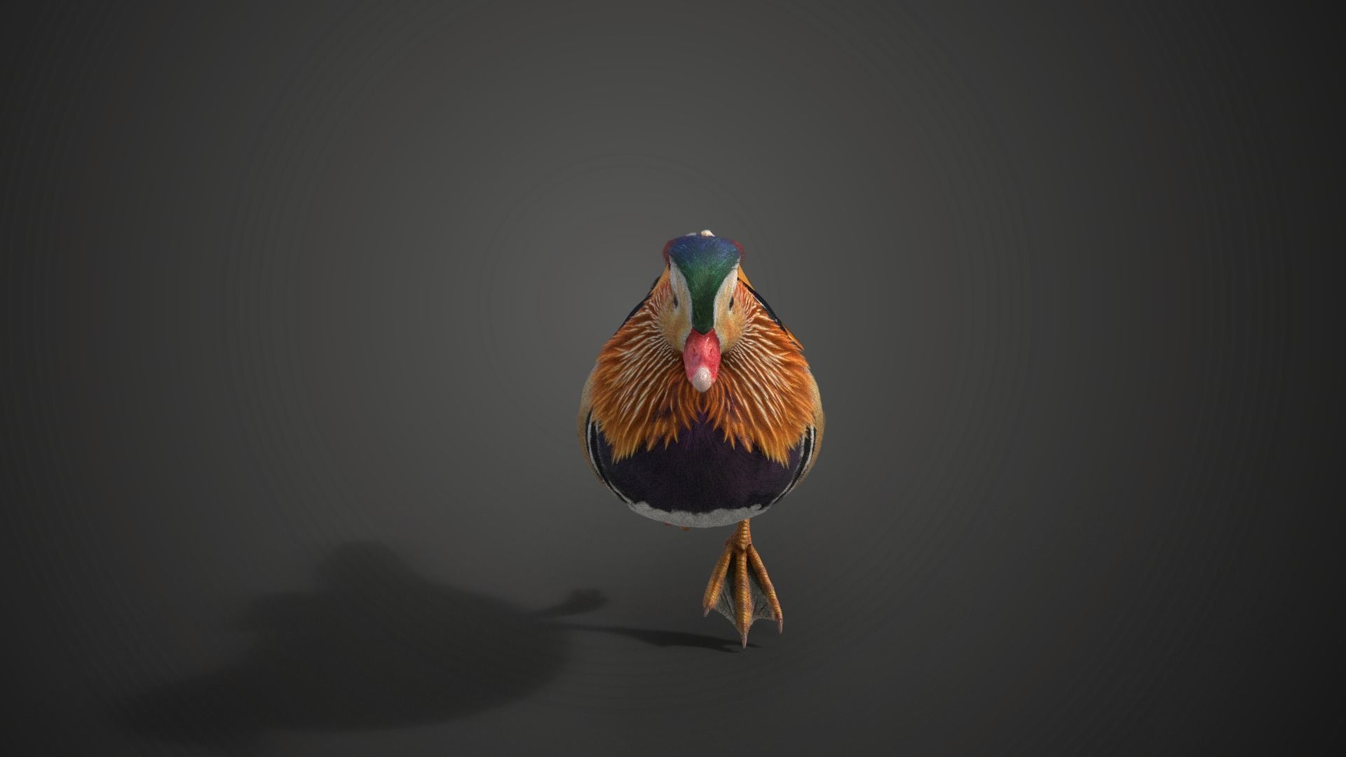 Mandarin Duck Male Animated VFX Grace 3D model_10