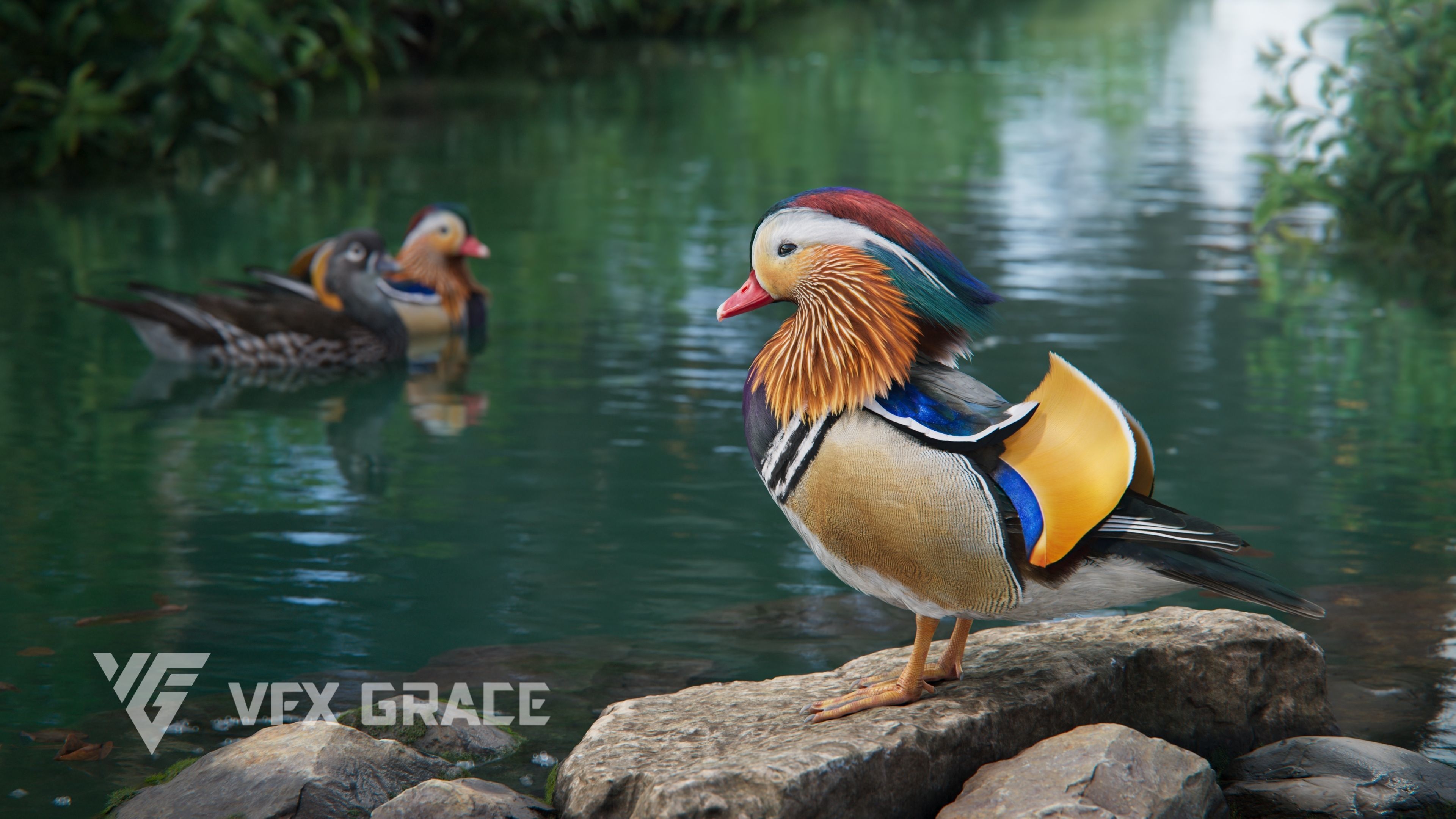Mandarin Duck Male Animated VFX Grace 3D model_3