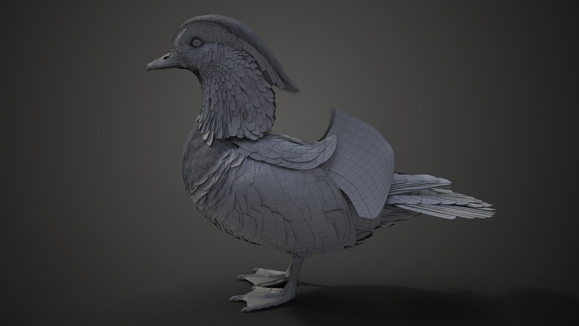 Mandarin Duck Male Animated VFX Grace 3D model_24