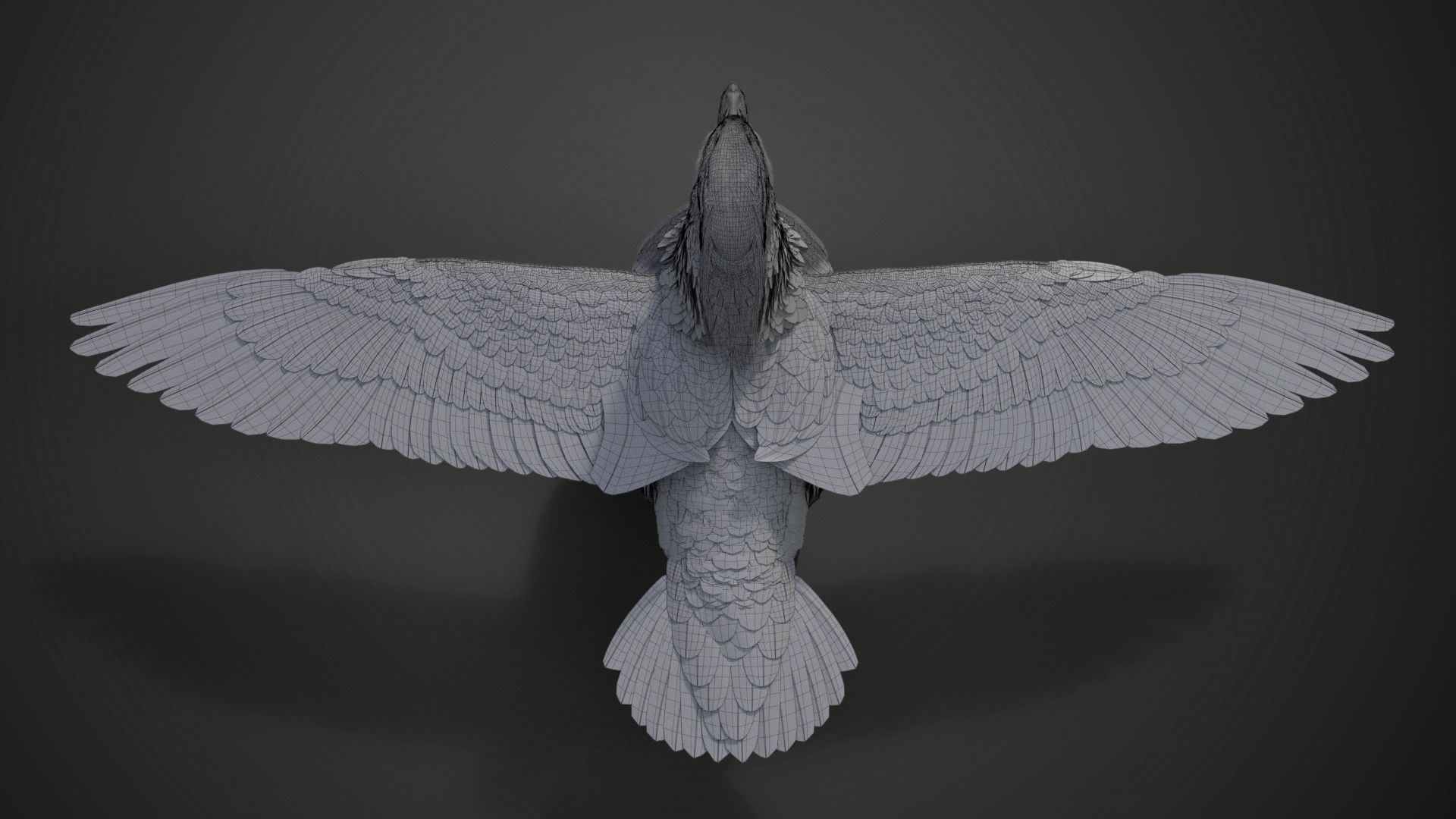 Mandarin Duck Male Animated VFX Grace 3D model_23