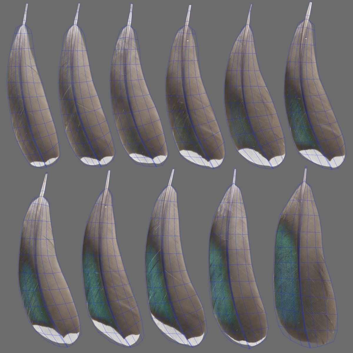 Mandarin Duck Male Animated VFX Grace 3D model_35