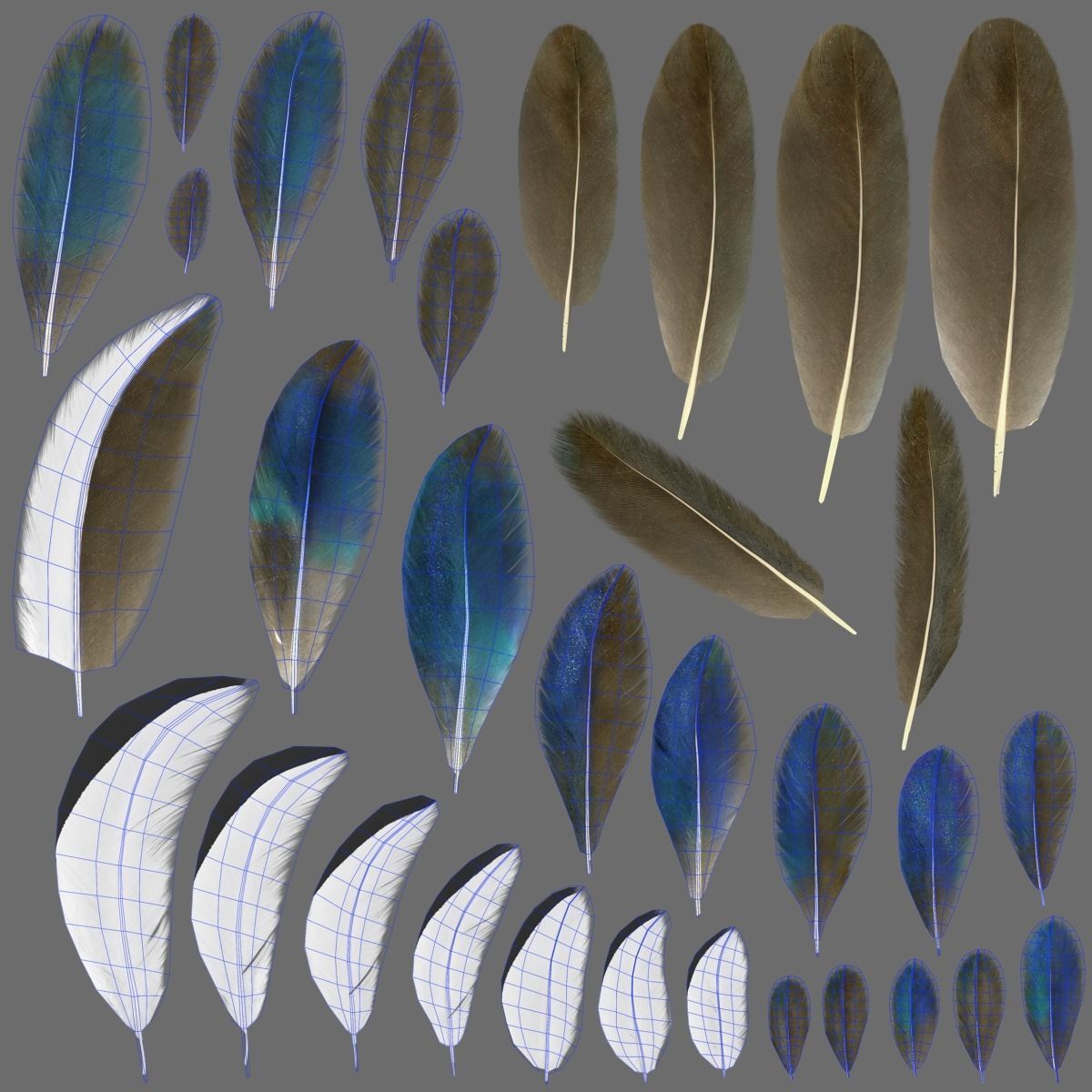 Mandarin Duck Male Animated VFX Grace 3D model_30