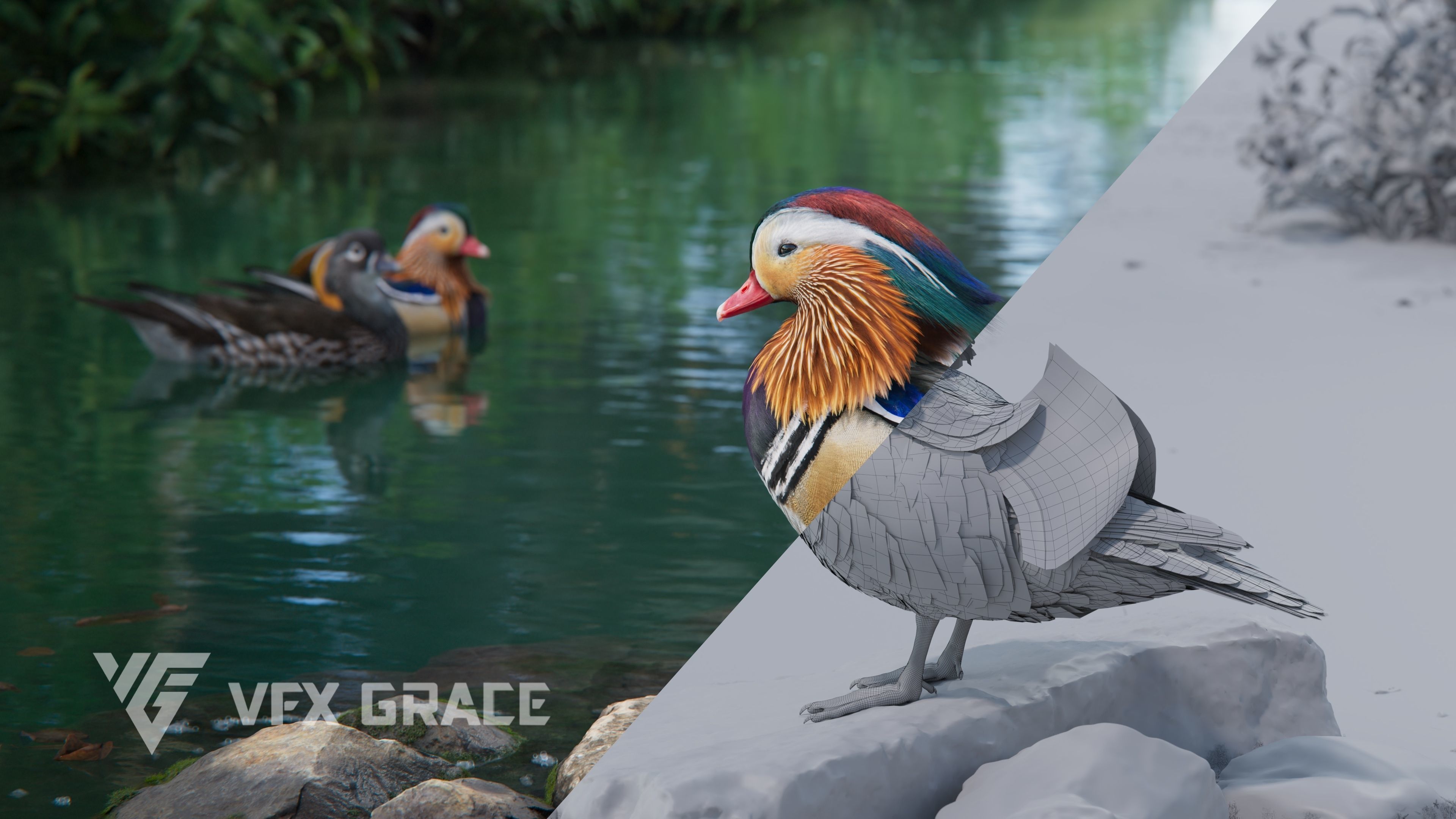 Mandarin Duck Male Animated VFX Grace 3D model_4