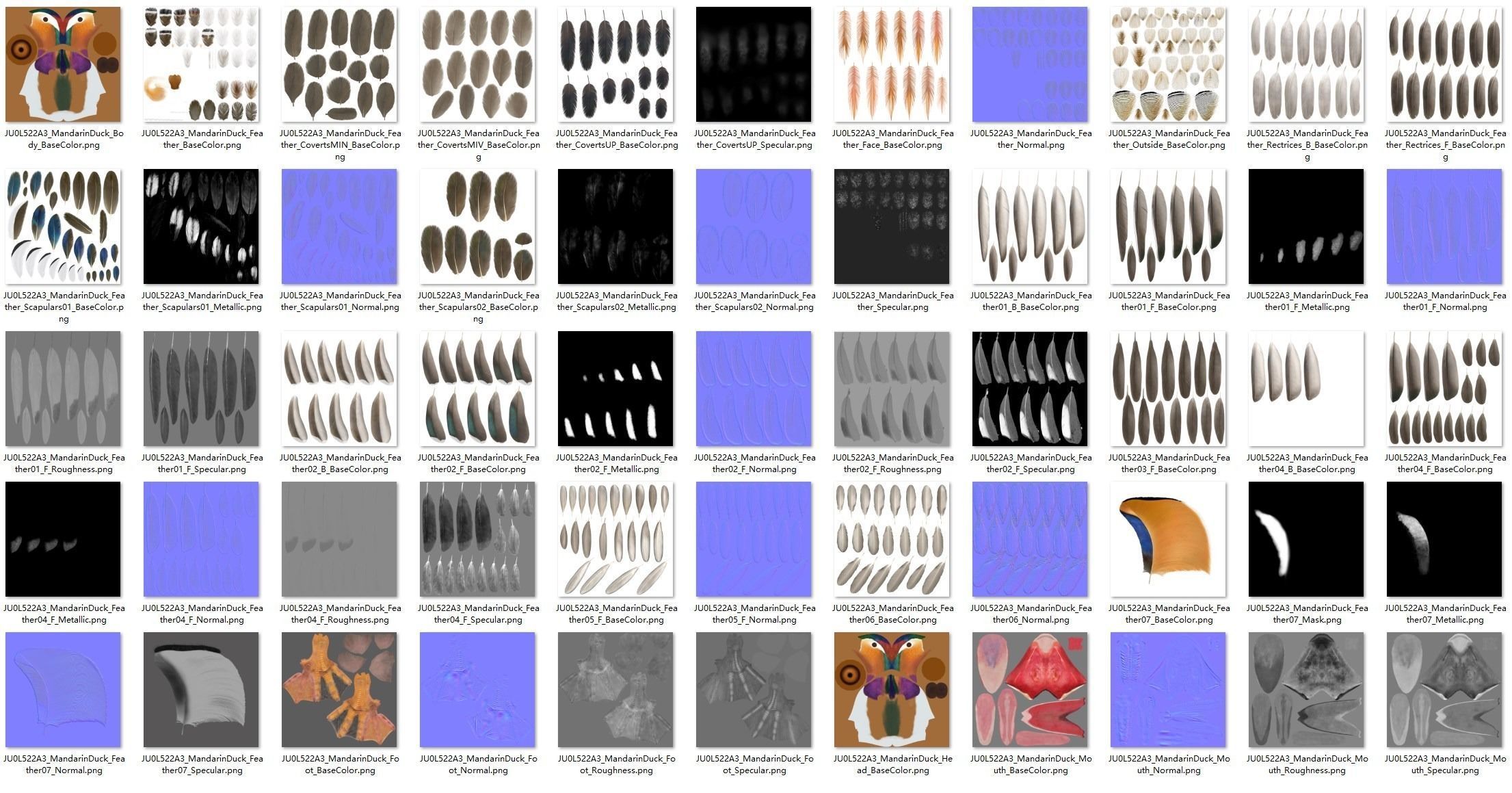 Mandarin Duck Male Animated VFX Grace 3D model_40