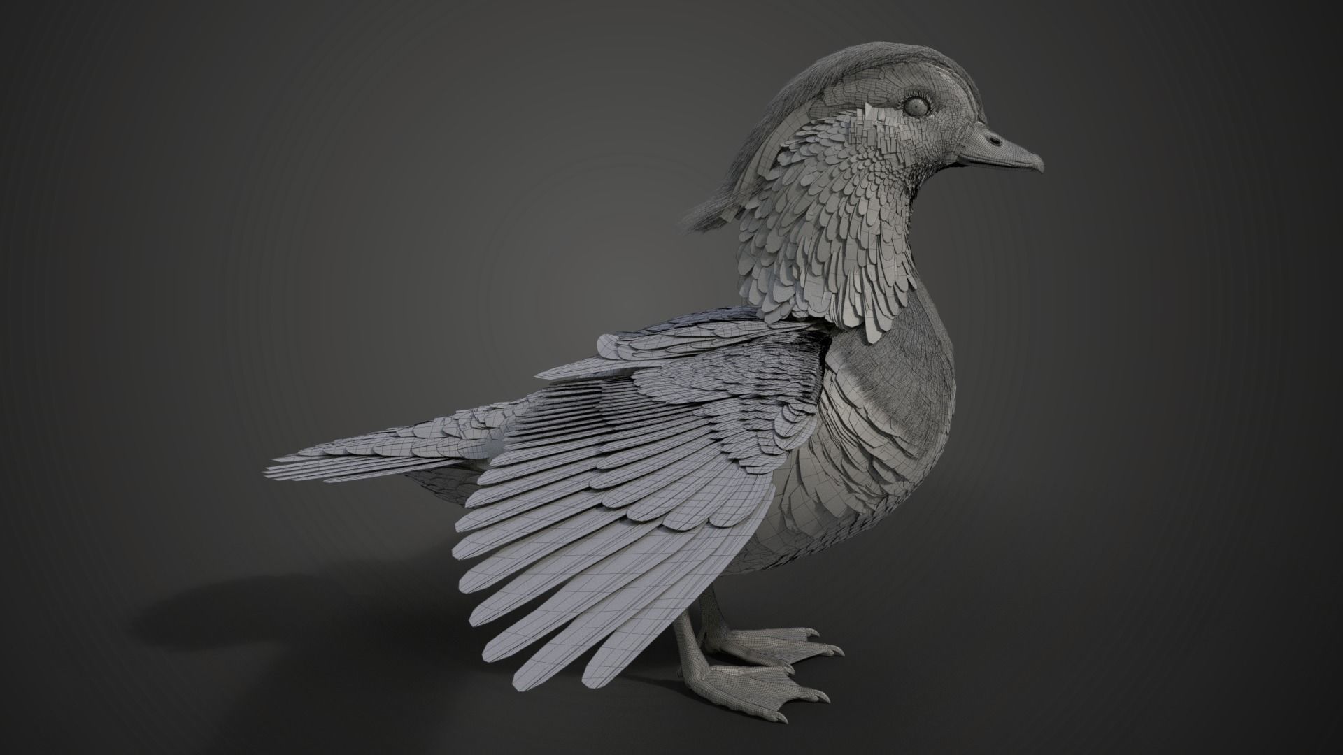 Mandarin Duck Male Animated VFX Grace 3D model_22