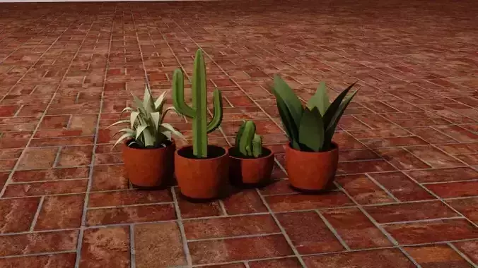 Cactus Model combo