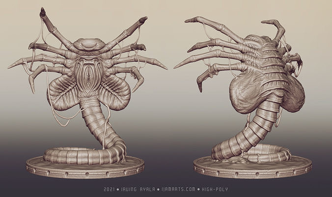 Xenomorph - Facehugger - Alien  3D print model 3D print model