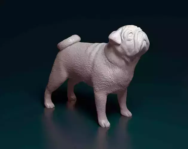 Pug dog 3D print model