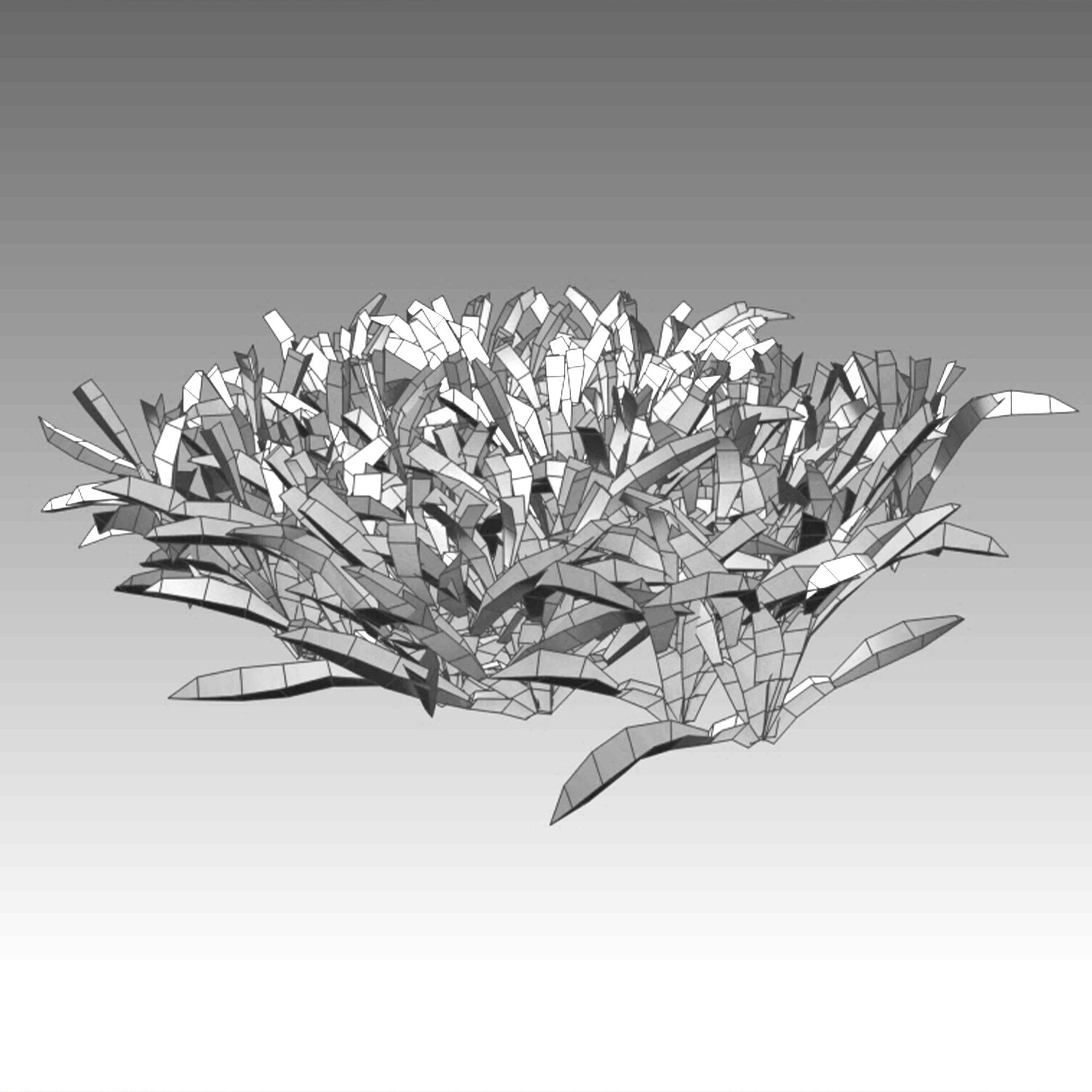 Axonopus compressus-cut-01 3D model_5