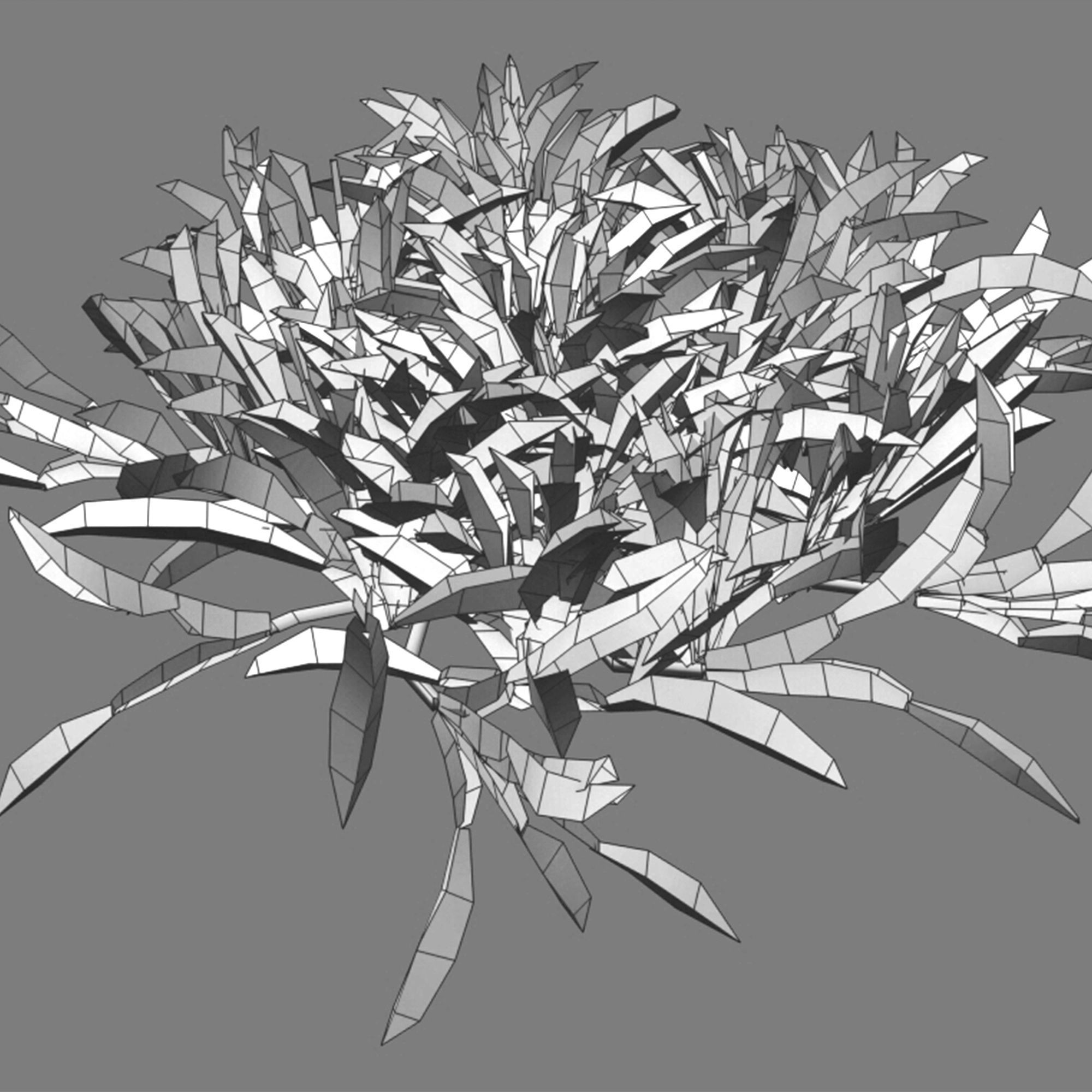 Axonopus compressus-cut-02 3D model_5