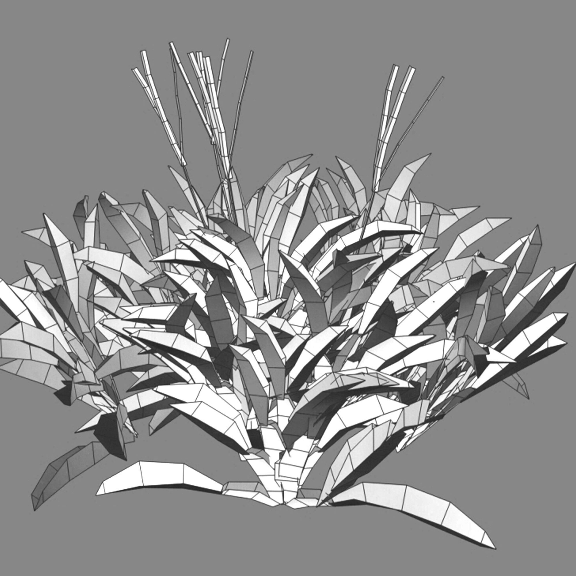 Axonopus compressus 03 3D model_5