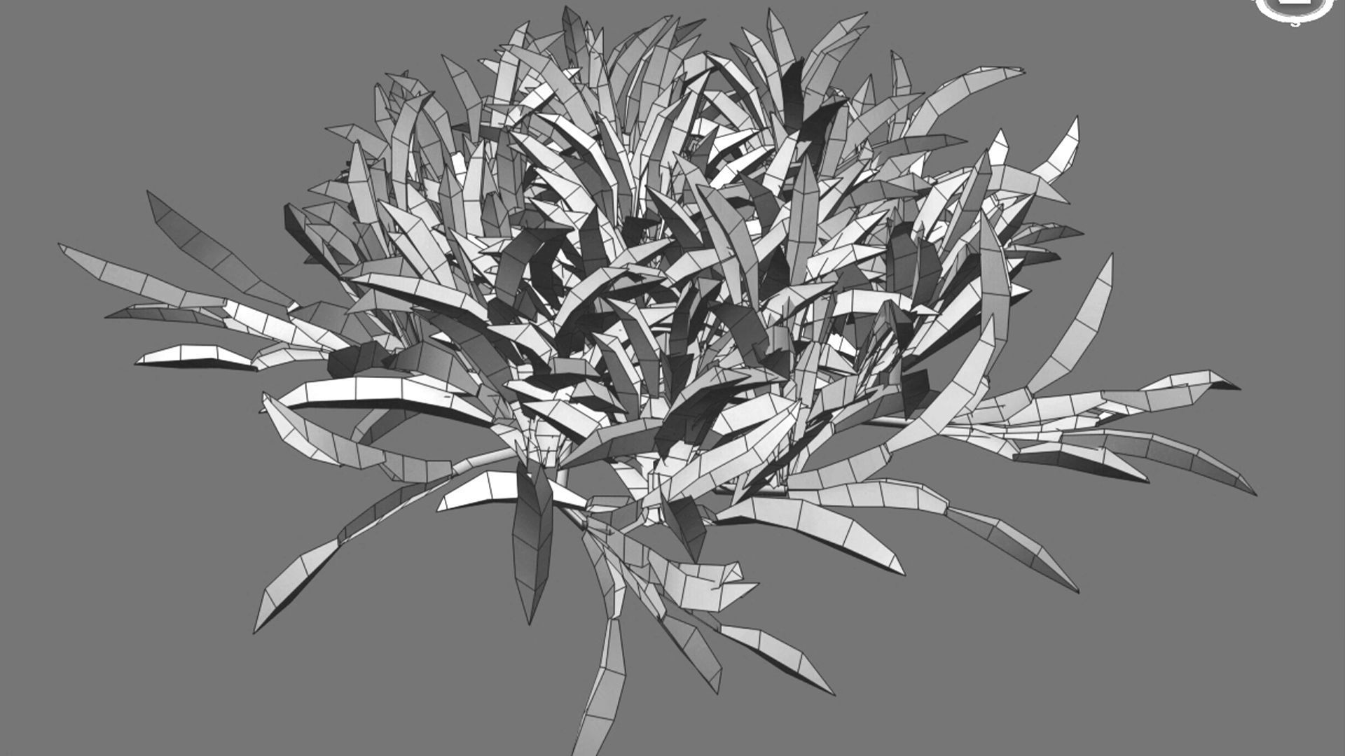 Axonopus compressus 3D model_15