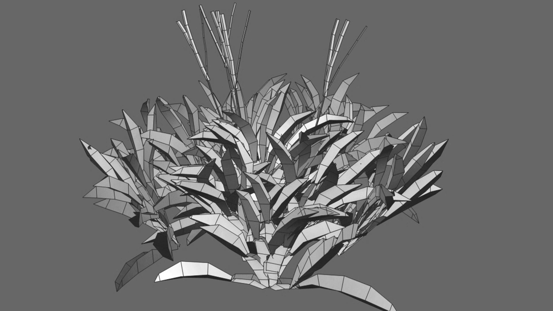 Axonopus compressus 3D model_30